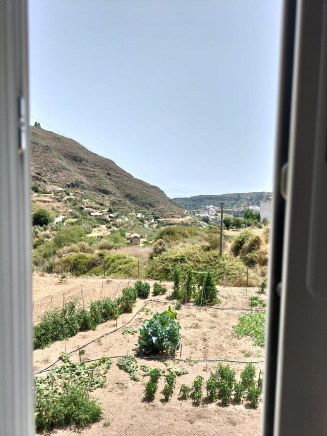 Casa Azul Mountain Retreat Leilighet Vega de San Mateo Eksteriør bilde